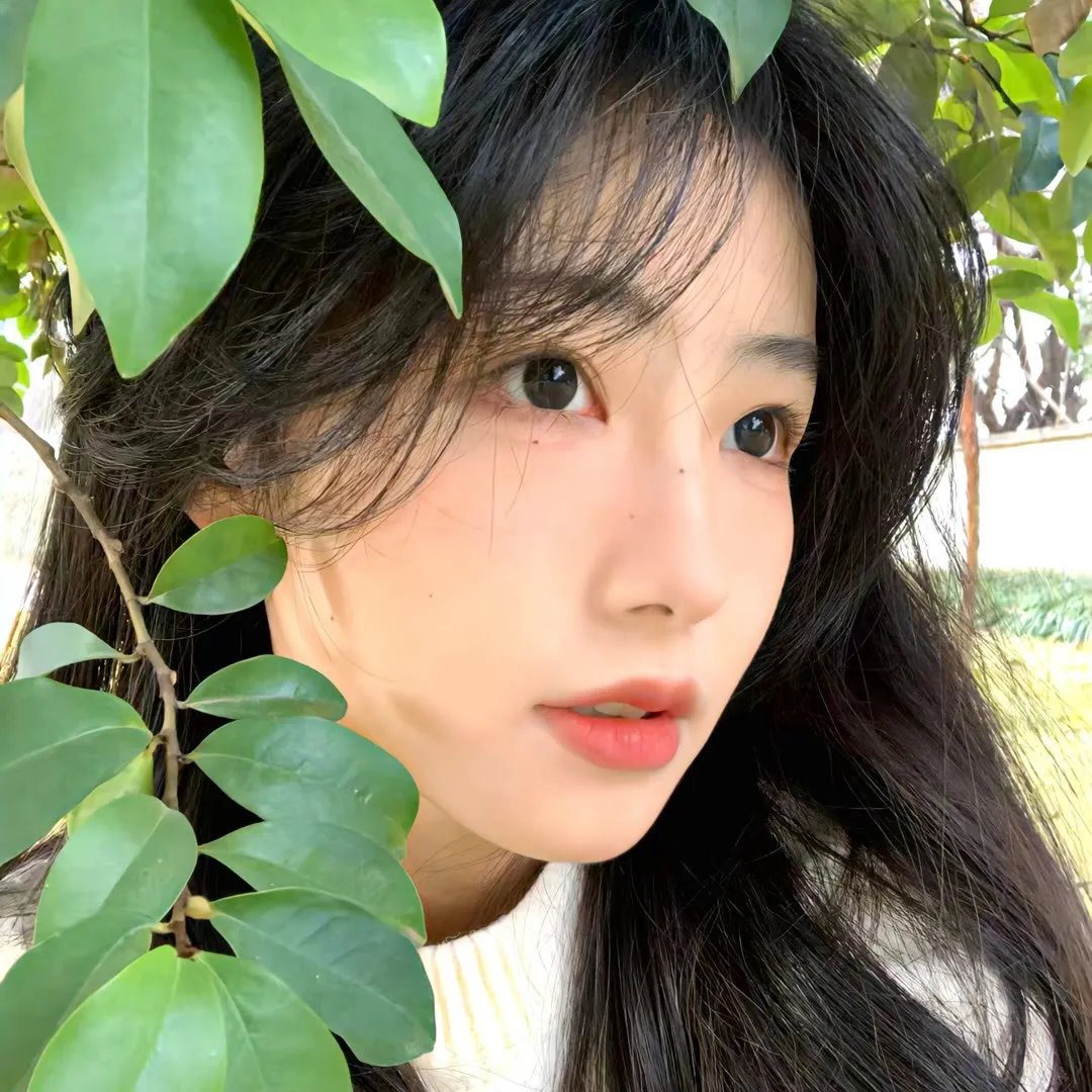 八美图