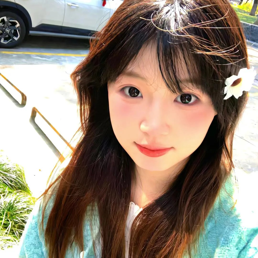 刺猬与城市